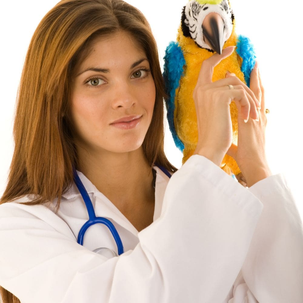 CV Madrid Exóticos-Centro Veterinarios-Milla de Oro-Barrio Salamanca-imagen-2
