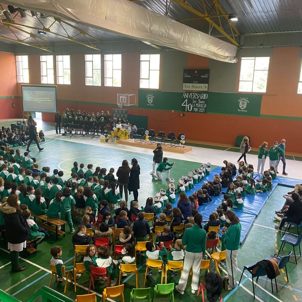 Colegio Los Sauces La Moraleja -Colegios Privados-Milla de Oro-Barrio Salamanca-imagen-3