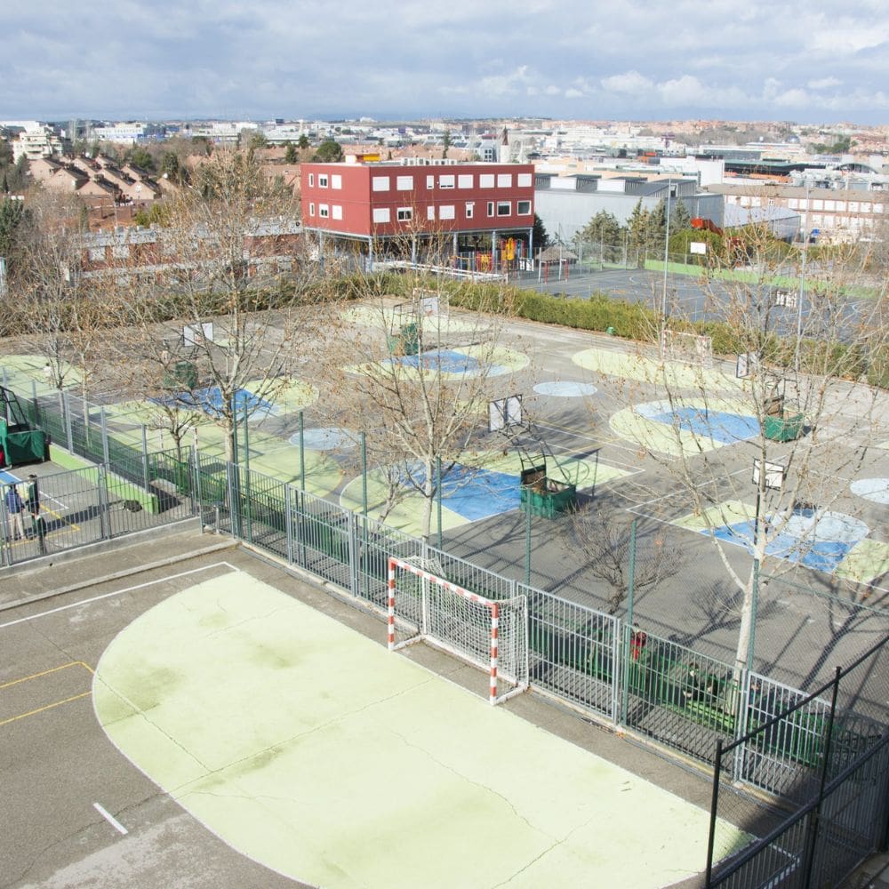 Colegio Los Sauces La Moraleja -Colegios Privados-Milla de Oro-Barrio Salamanca-imagen-4